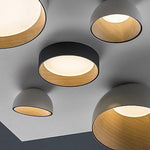 Ceiling Mounted