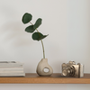 LA_JC0125-RSGD Camera Décor