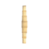 Rafien