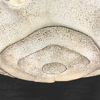 Salvetti